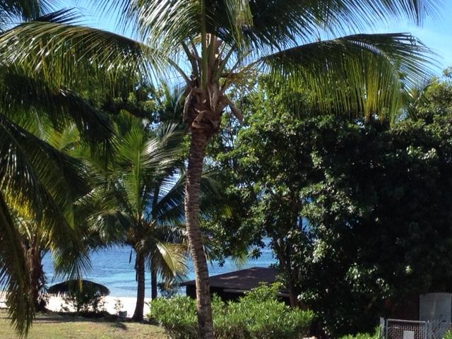 Iguana Studio Vue Mer Avec Cuve Saint-Francois  Exterior photo